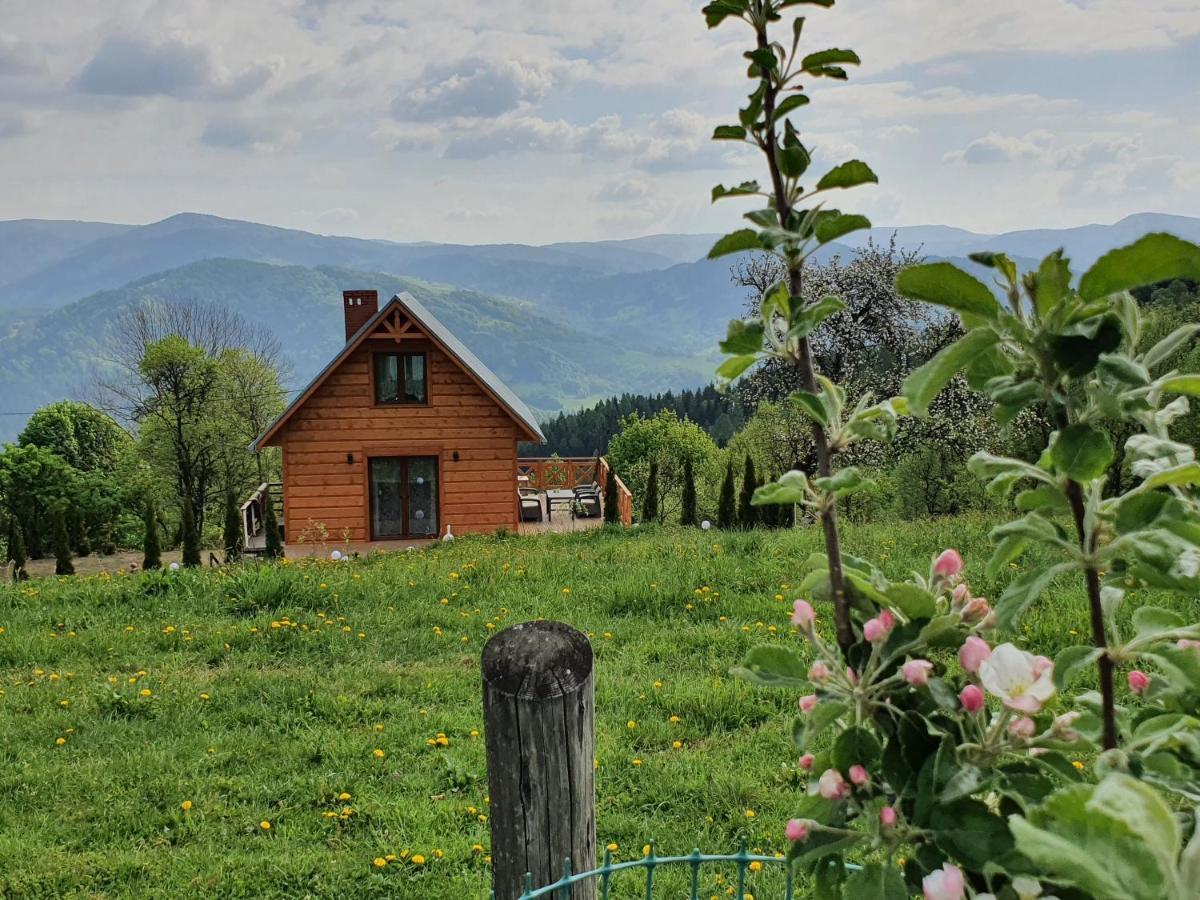 Villa Goralski Piwowarowka *